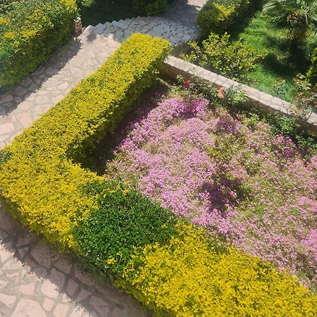 Amelie's & * סרנדה