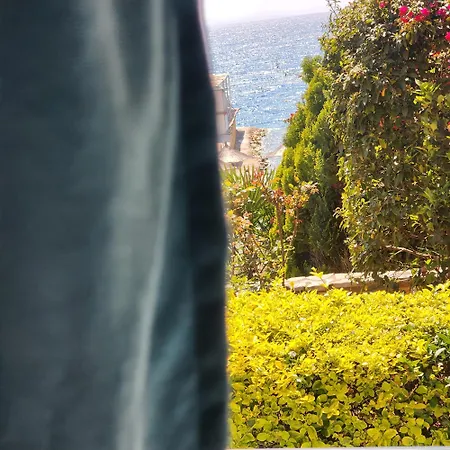 Hotell Amelie's & Sarandë
