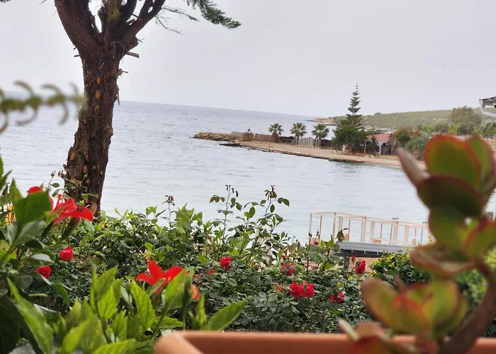 Amelie's & Saranda