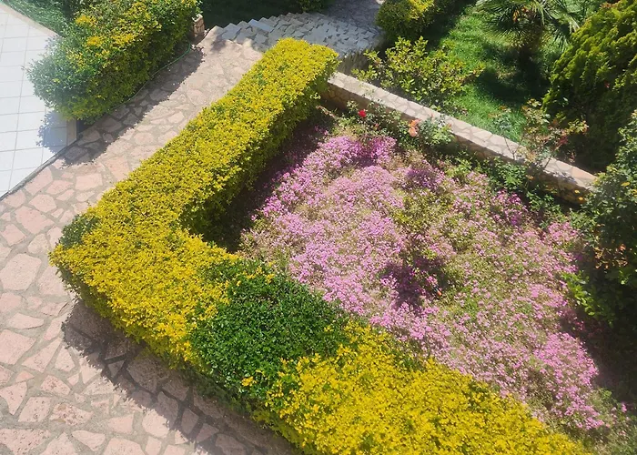 Amelie's & * Sarandë